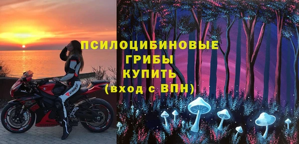 сатива Козельск