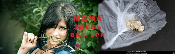 сатива Козельск