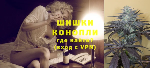 сатива Козельск