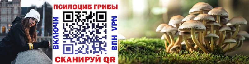 Галлюциногенные грибы Psilocybine cubensis  блэк спрут зеркало  Игра  купить  цена 